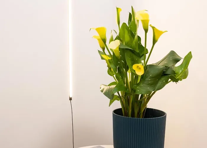 Appartement Atoliving Greci