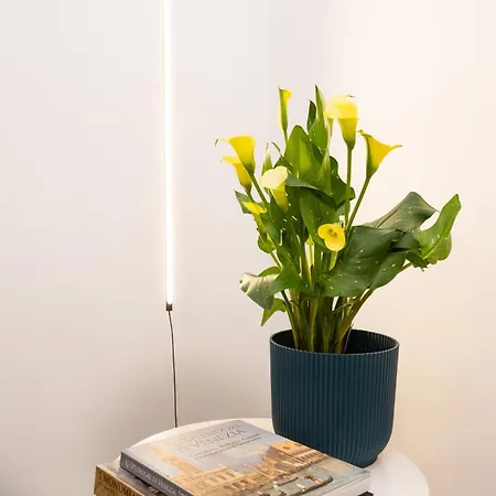 아파트 Atoliving Greci